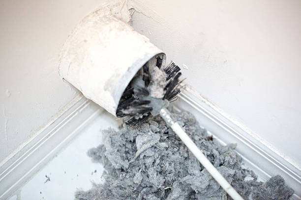 Best Air Duct Mold Removal  in Kamas, UT